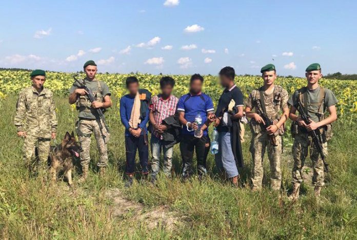 На Львівщині четверо нелегалів з Бангладеш та М’янми ховалися у соняшниках На Львівщині четверо нелегалів з Бангладеш та М’янми ховалися у соняшниках