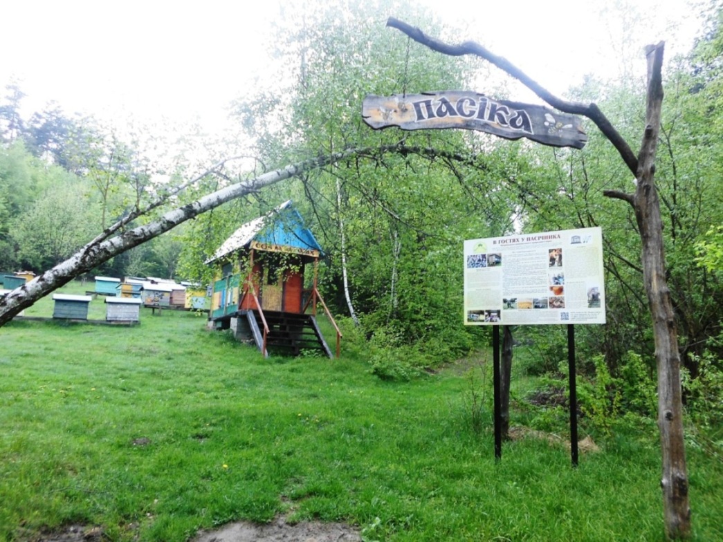 Персональний гід Львівщиною: до Медового спасу на медові фестини (фото) - 14