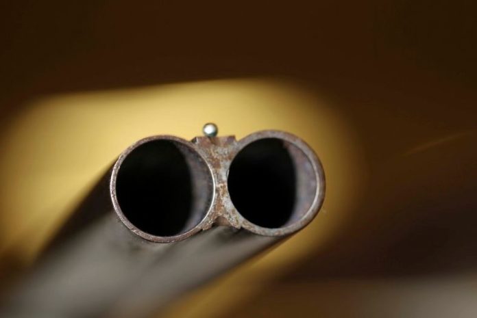 У Києві пенсіонерка з вікна квартири з гвинтівки поранила 20-річну дівчину У Києві пенсіонерка з вікна квартири з гвинтівки поранила 20-річну дівчину