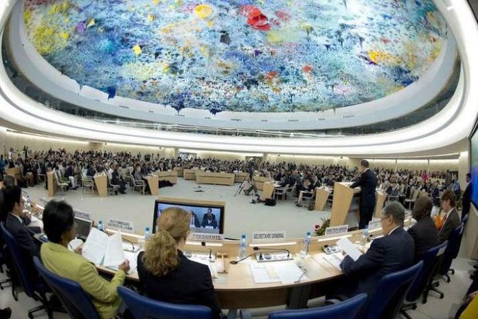 У Раді ООН з прав людини заслухають доповідь про Україну У Раді ООН з прав людини заслухають доповідь про Україну