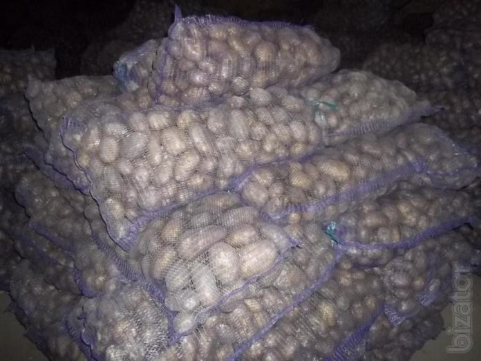 На Буковині від батьків у дитсадку вимагають принести по мішку піску та картоплі На Буковині від батьків у дитсадку вимагають принести по мішку піску та картоплі