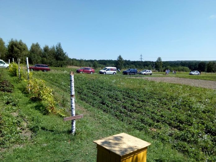 Після повернення з війни український захисник створив полуничну ферму (фото) Після повернення з війни український захисник створив полуничну ферму (фото)