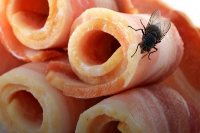 «Не їж, муха сіла»: чи можна вживати продукти, на яких були комахи «Не їж, муха сіла»: чи можна вживати продукти, на яких були комахи