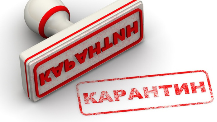 У селі на Стрийщині оголосили карантин через сказ У селі на Стрийщині оголосили карантин через сказ