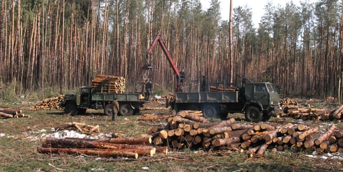 Лісгоспи Львівщини за 9 місяців реалізували продукції на понад 800 мільйонів гривень Лісгоспи Львівщини за 9 місяців реалізували продукції на понад 800 мільйонів гривень