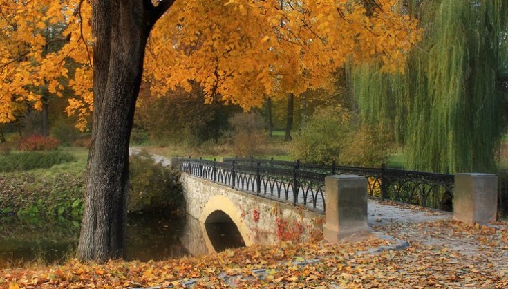 Парк Олександрія: неймовірна краса найбільшого парку України (відео, фото)