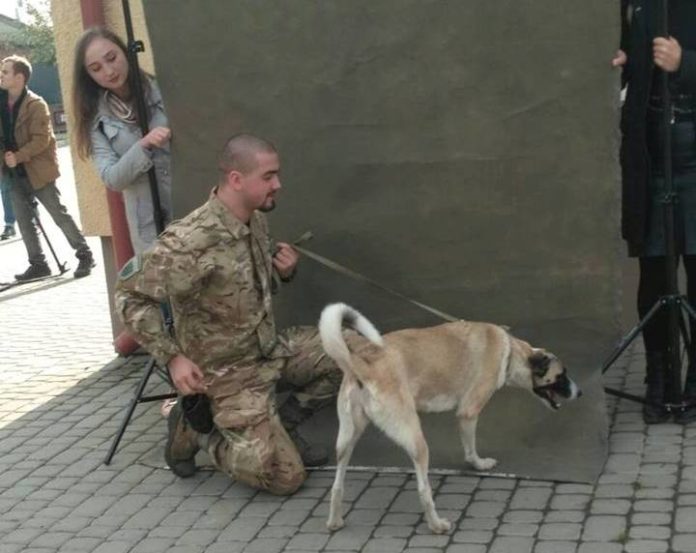 Вірні назавжди: бійці АТО взяли участь у фотосесії з собаками (фото) Вірні назавжди: бійці АТО взяли участь у фотосесії з собаками (фото)
