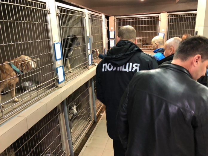 На Львівщині відкрили 11 кримінальних проваджень за жорстоке поводження з тваринами На Львівщині відкрили 11 кримінальних проваджень за жорстоке поводження з тваринами