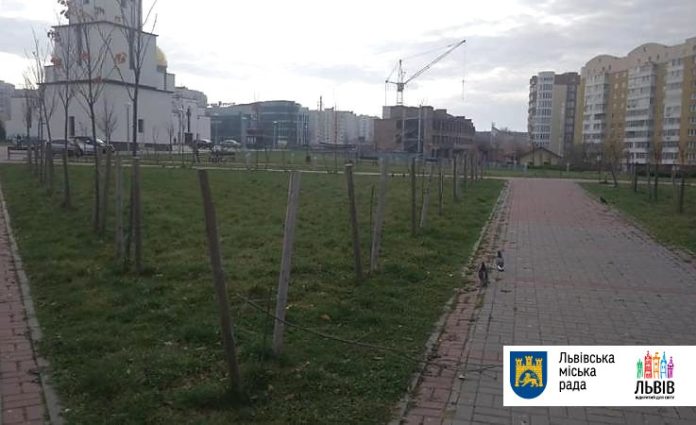 У Львові в парку на Сихові вандали знищили 32 дерева (фото) У Львові в парку на Сихові вандали знищили 32 дерева (фото)