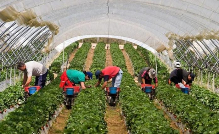 На Львівщині СБУ виявила масштабні махінації заробітчан з соцвиплатами На Львівщині СБУ виявила масштабні махінації заробітчан з соцвиплатами