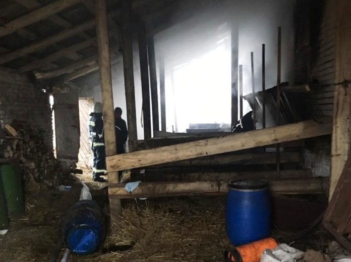 На Сокальщині горіла господарська будівля, в якій перебували свійські тварини (фото) На Сокальщині горіла господарська будівля, в якій перебували свійські тварини (фото)