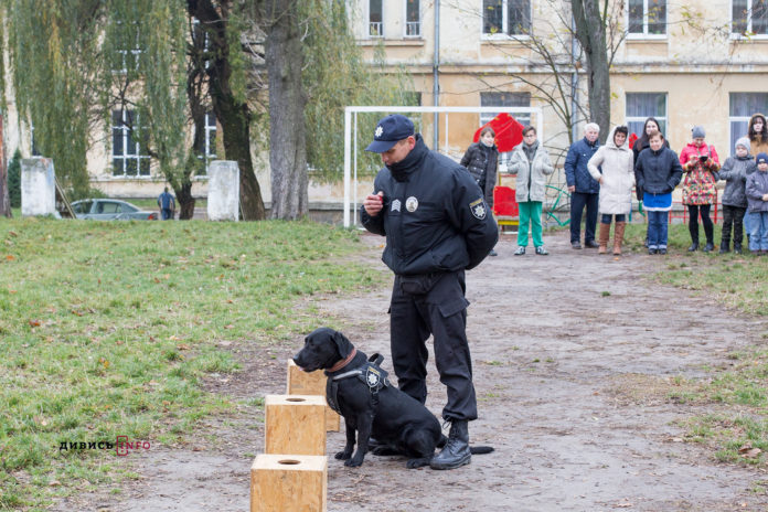 Як у Львові для дітей влаштували показові виступи службових собак (відео) Як у Львові для дітей влаштували показові виступи службових собак (відео)