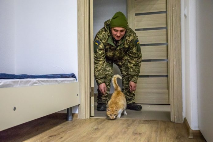 У Старичах відкрили новий гуртожиток для 125 військових і одного кота (фото) У Старичах відкрили новий гуртожиток для 125 військових і одного кота (фото)