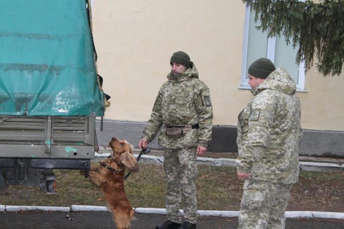 На Львівщині кінологічний центр підготував 106 інспекторів – кінологів (фото) На Львівщині кінологічний центр підготував 106 інспекторів – кінологів (фото)