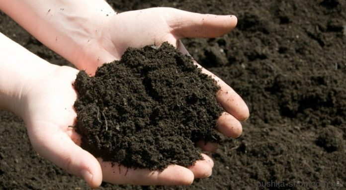 Мораторій на продаж землі продовжено ще на рік Мораторій на продаж землі продовжено ще на рік