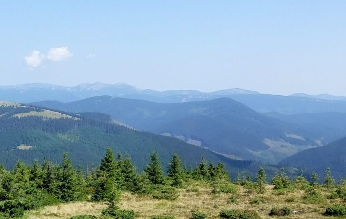Які свята відзначають 11 грудня (іменини, народні прикмети) Які свята відзначають 11 грудня (іменини, народні прикмети)
