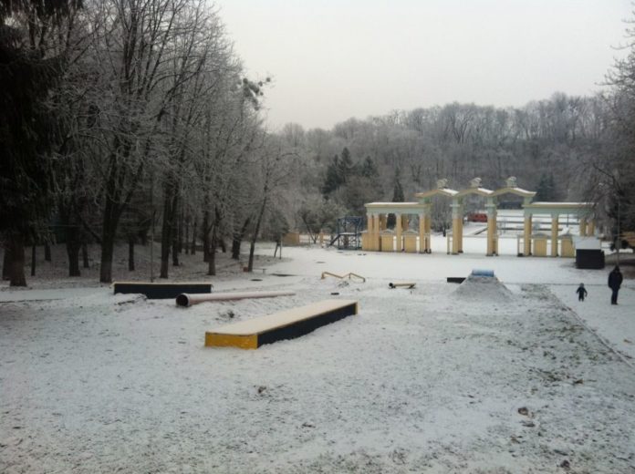 У Парку культури невідомі знищили магнолію та ялинку У Парку культури невідомі знищили магнолію та ялинку