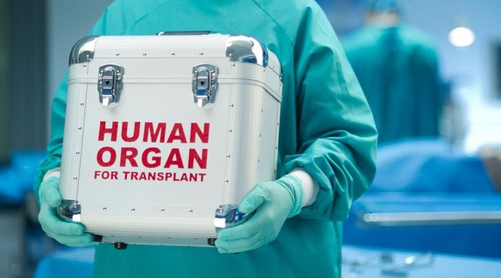 1481280923-8368-organyi-transplantatsiya