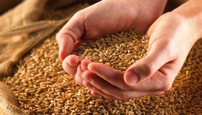 Україна увійшла до п’ятірки найбільших експортерів агропродукції до ЄС Україна увійшла до п’ятірки найбільших експортерів агропродукції до ЄС
