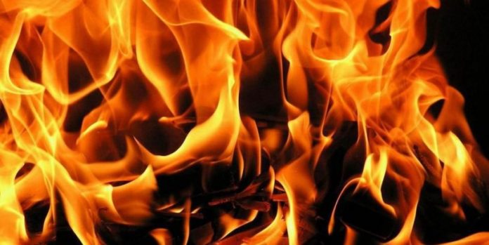 На Львівщині горить завод (відео) На Львівщині горить завод (відео)