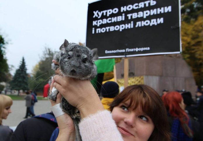 У Львові біля Ратуші пройде акція проти хутряного бізнесу У Львові біля Ратуші пройде акція проти хутряного бізнесу