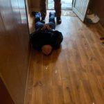 У столиці на хабарі у 15 тисячі доларів затримали начальника відділення поліції - 2