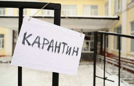 У трьох навчальних закладах Львова призупинили навчання через кір