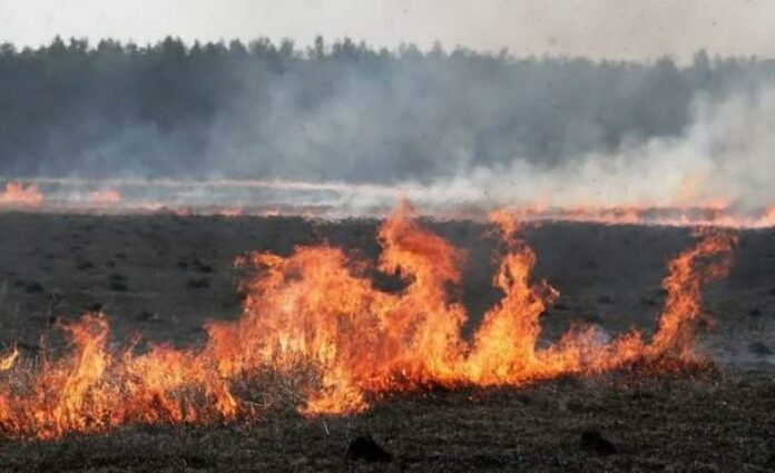 На Львівщині рятувальники ліквідували 29 пожеж сухостою На Львівщині рятувальники ліквідували 29 пожеж сухостою