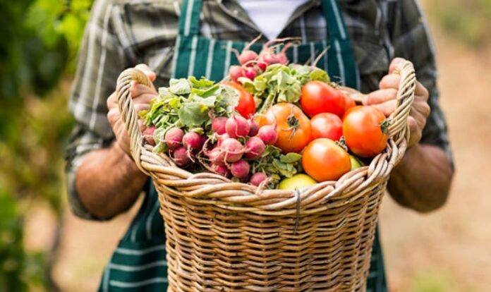 На Львівщині виробництво сільськогосподарської продукції зросло на майже 15% На Львівщині виробництво сільськогосподарської продукції зросло на майже 15%