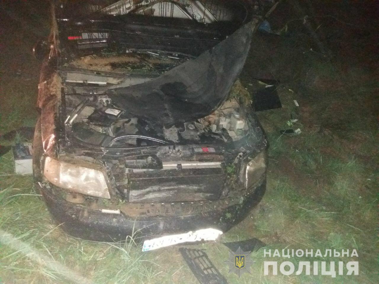 ДТП на Львівщині: автомобіль з’їхав у кювет і перекинувся, загинув водій (фото) - 2