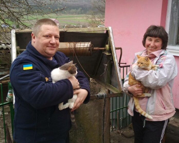 На Львівщині надзвичайники врятували 2 котів, які впали в криницю На Львівщині надзвичайники врятували 2 котів, які впали в криницю