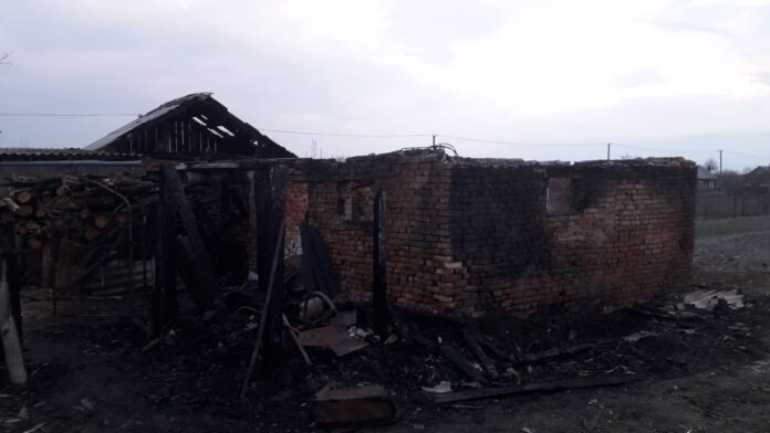 На Львівщині під час пожежі загинули двоє коней, корова та троє телят На Львівщині під час пожежі загинули двоє коней, корова та троє телят