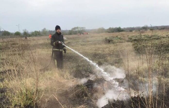 Недалеко від Львова горіло торфовище Недалеко від Львова горіло торфовище