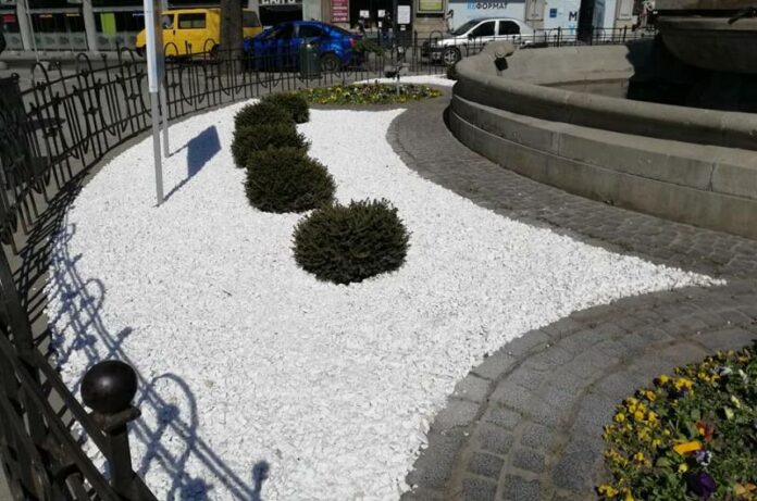 У Львові оновлюють клумби та висаджують квіти У Львові оновлюють клумби та висаджують квіти