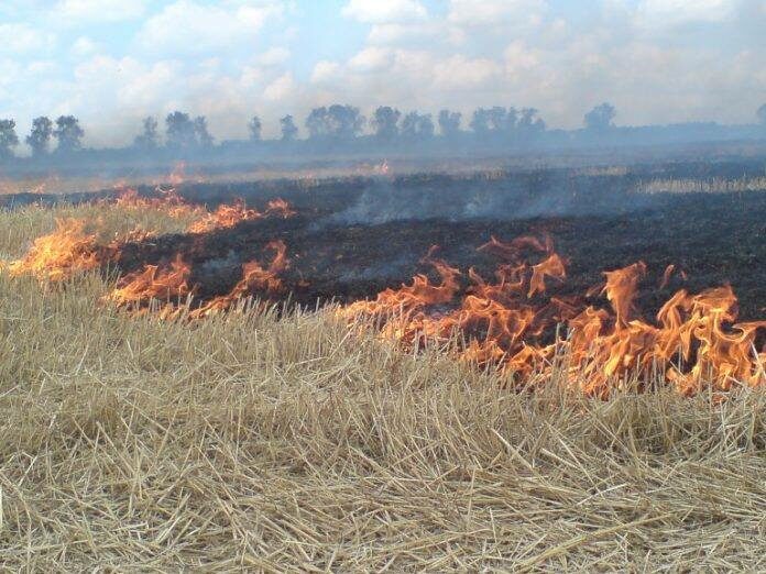 Львівські рятувальники за добу ліквідували вісім пожеж сухостою Львівські рятувальники за добу ліквідували вісім пожеж сухостою
