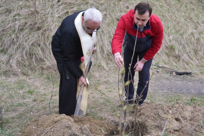 Як у Львові відновлювали Черешневий гай Климентія Шептицького (фото) Як у Львові відновлювали Черешневий гай Климентія Шептицького (фото)