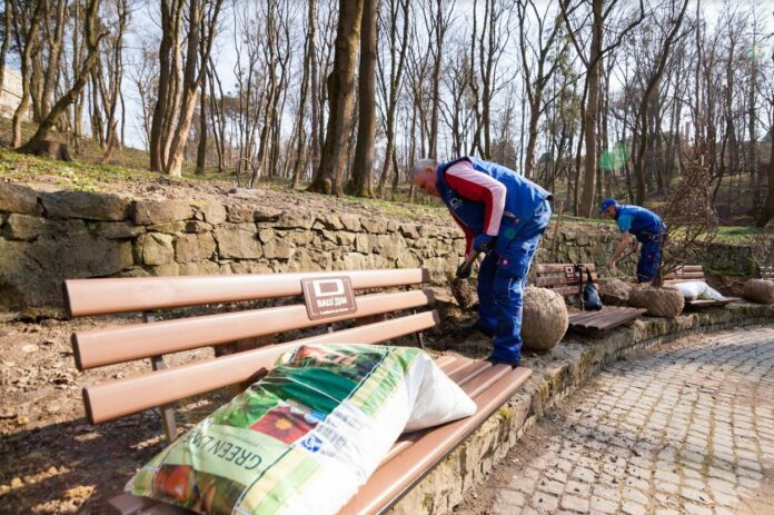 У Стрийському парку висадили сквер кущових магнолій У Стрийському парку висадили сквер кущових магнолій