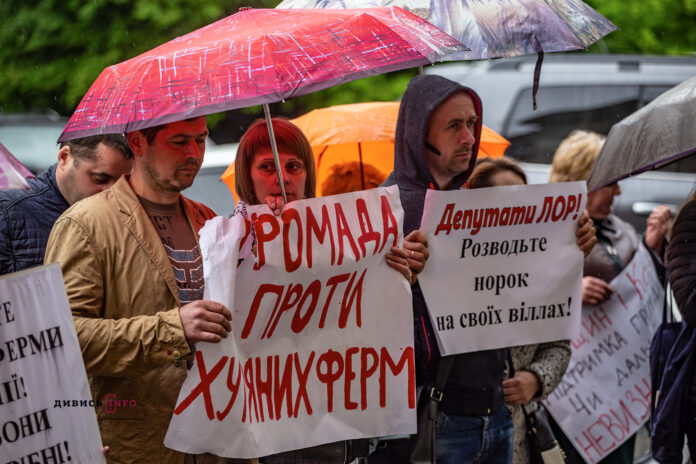 Під Львівською обласною радою протестують проти норкових ферм Під Львівською обласною радою протестують проти норкових ферм