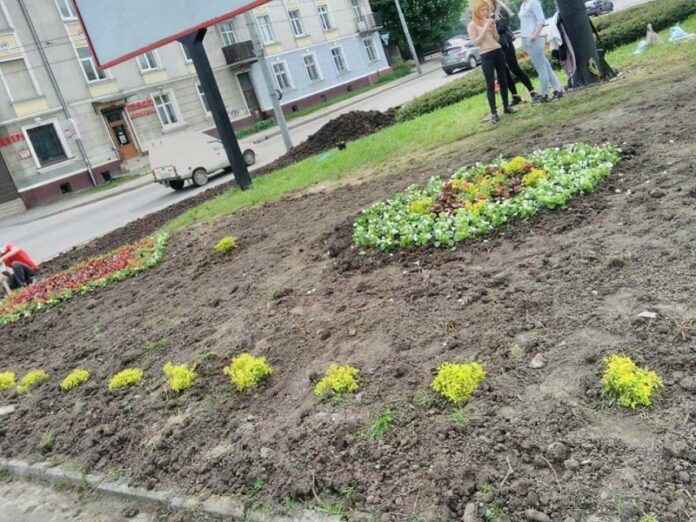 У Львові на перехресті вулиць Городоцька-Сяйво облаштували новий квітник У Львові на перехресті вулиць Городоцька-Сяйво облаштували новий квітник