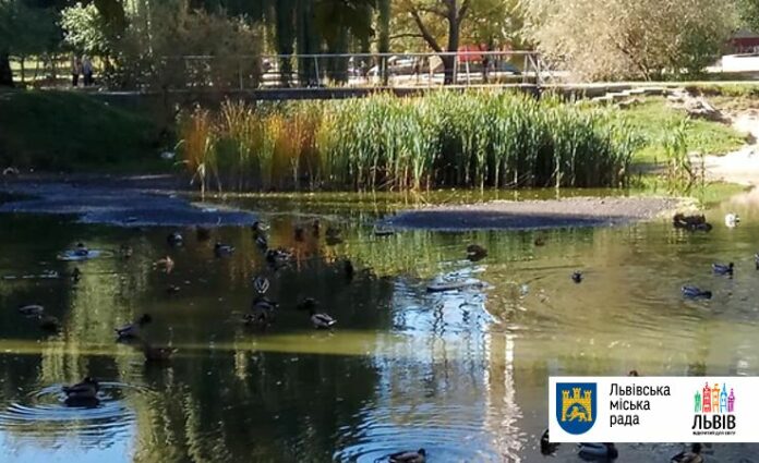 Львів’ян запрошують на фестиваль, щоби врятувати озеро Львів’ян запрошують на фестиваль, щоби врятувати озеро