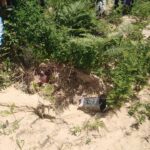 У Львові страшні зливи розмили могили на найбільшому кладовищі міста (фото) - 5