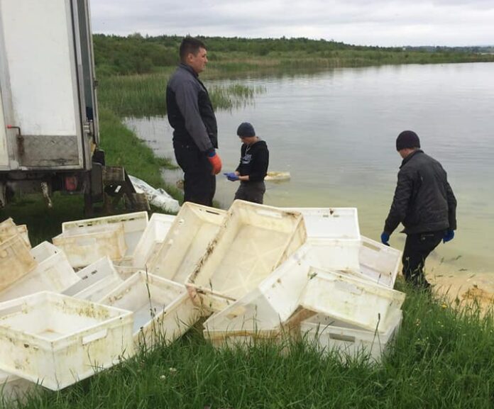 Що виявили держекоінспектори у кар’єрі в Новояворівську Що виявили держекоінспектори у кар’єрі в Новояворівську