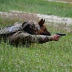 На Львівщині лави ДПСУ поповнив чотирилапий спецназ (фото) - 11