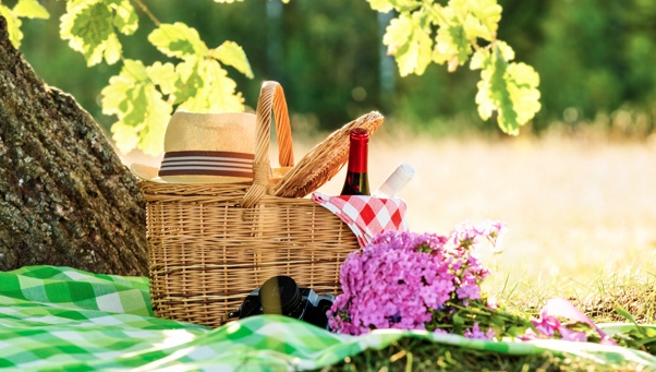 Пікнік на природі: як спланувати корисний і безпечний відпочинок
