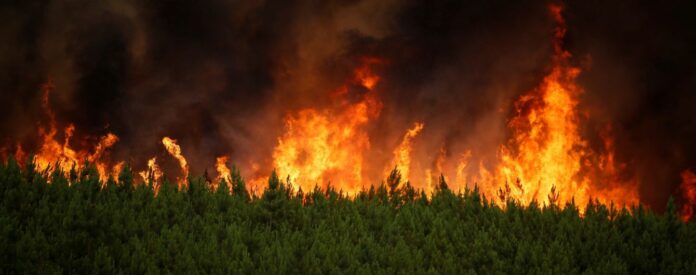 Погода у Львові: cиноптики застерігають про надзвичайну пожежну небезпеку Погода у Львові: cиноптики застерігають про надзвичайну пожежну небезпеку