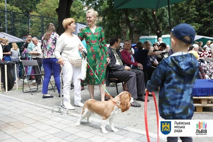 У центрі Львова організували фестиваль «Ковчег дружби» (фото) У центрі Львова організували фестиваль «Ковчег дружби» (фото)