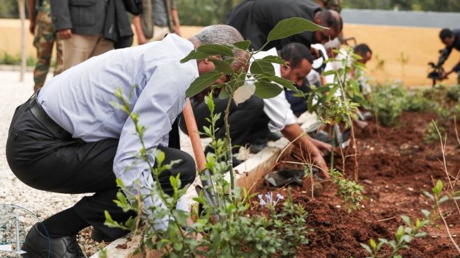 В Ефіопії за 12 годин висадили понад 350 мільйонів дерев