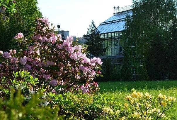 Цієї неділі львів'ян запрошують на День відкритих дверей у ботанічний сад