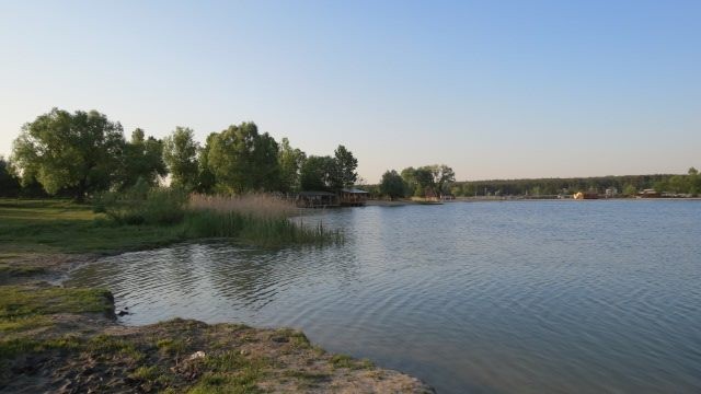 26-річний мешканець Львівщини скупався у польському озері та заразився лептоспірозом