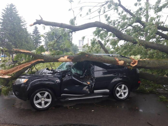 На Львівщині дерево впало на позашляховик з людьми в салоні (фото) На Львівщині дерево впало на позашляховик з людьми в салоні (фото)
